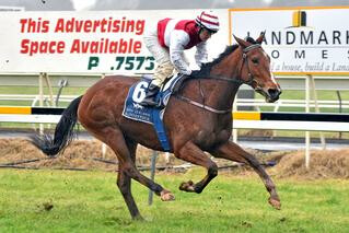 Group One winner Ladies First (NZ) (Dylan Thomas) will compete in Saturday's Trainers Series race. 